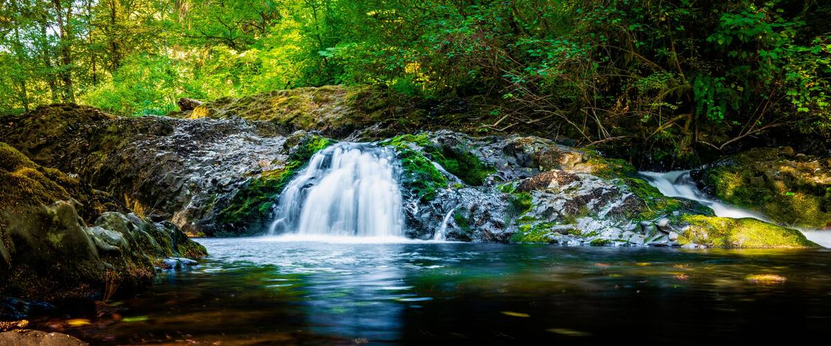 A waterfall in a forested area with moss-covered rocks and dense green foliage.