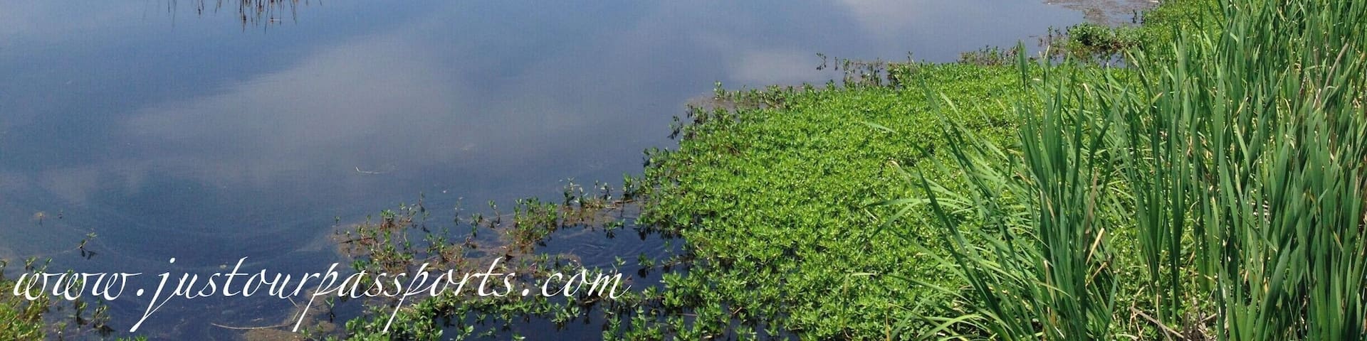 Outside of Charleston is the Caw Caw Nature Preserve. It was a rice plantation that is now open to the public with walking trails, benches, and an information center. There is an abundance of wildlife including alligators, snakes, and birds. We did not see any gators when we were there but we did see a few snakes and a ton of birds! Entrance to the park is either free or a dollar USD. Great place to explore!