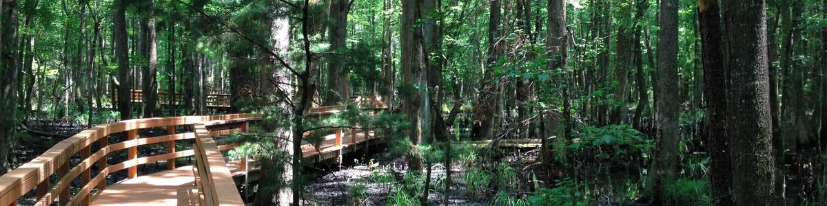 Outside of Charleston is the Caw Caw Nature Preserve. It was a rice plantation that is now open to the public with walking trails, benches, and an information center. There is an abundance of wildlife including alligators, snakes, and birds. We did not see any gators when we were there but we did see a few snakes and a ton of birds! Entrance to the park is either free or a dollar USD. Great place to explore!