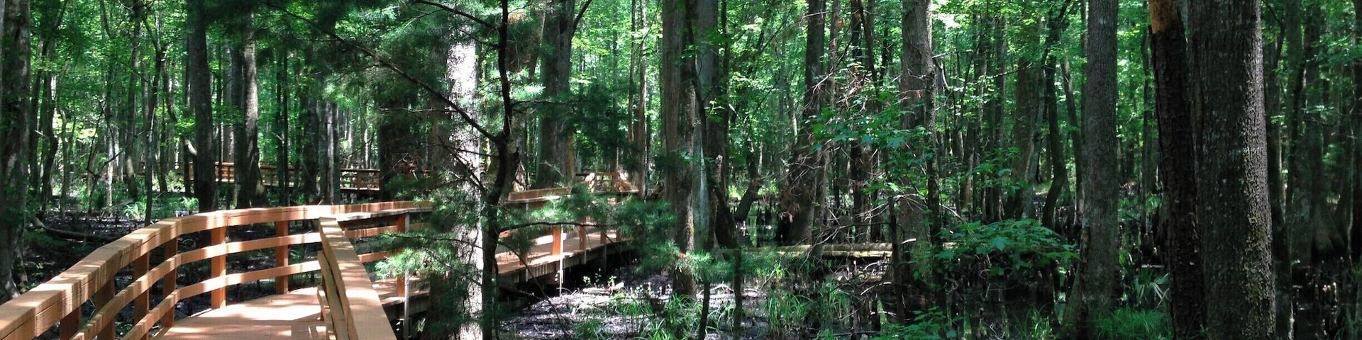 Outside of Charleston is the Caw Caw Nature Preserve. It was a rice plantation that is now open to the public with walking trails, benches, and an information center. There is an abundance of wildlife including alligators, snakes, and birds. We did not see any gators when we were there but we did see a few snakes and a ton of birds! Entrance to the park is either free or a dollar USD. Great place to explore!