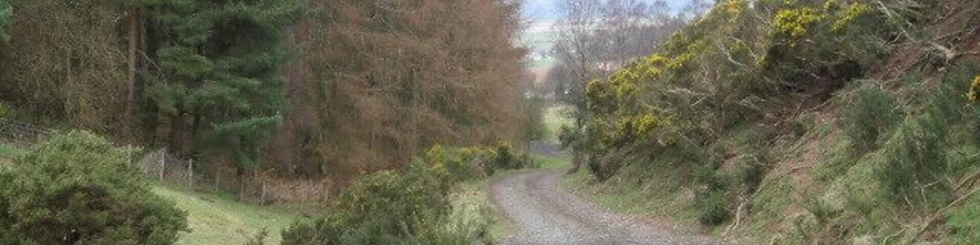 Track to Gargunnock Hills