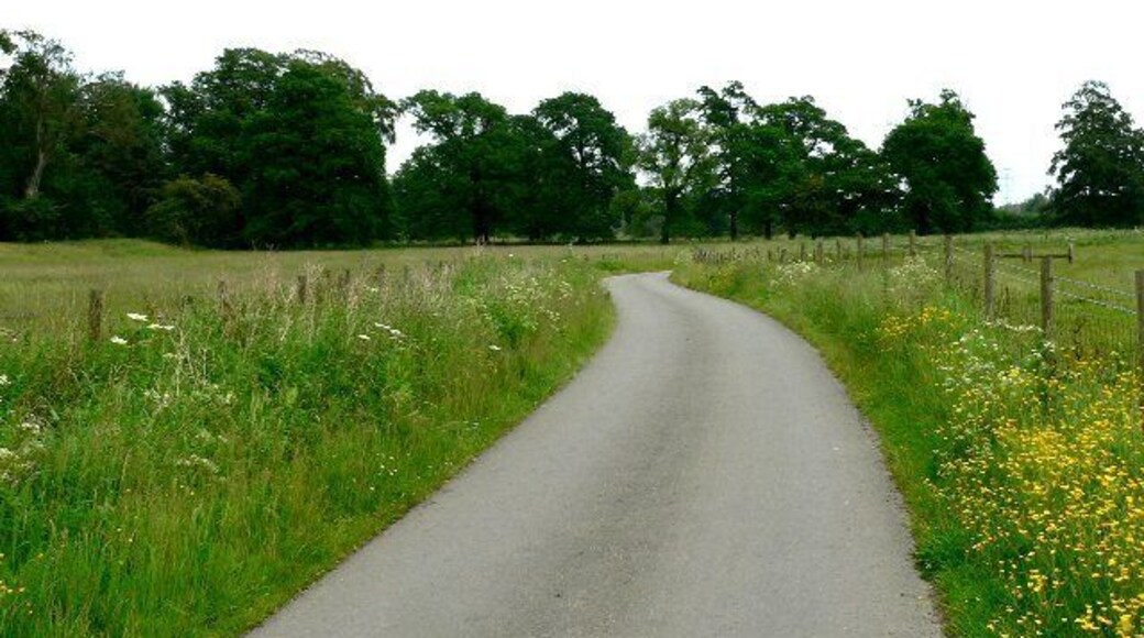 The Quiet Road to Sancton at Houghton, East Riding of Yorkshire, England. The photograph shows one of two short stretches of road on a circular walk from Newbald via Houghton Moor and Sancton.