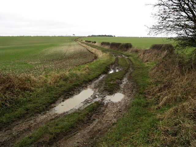The Wolds Way north of Gare Gate, Sancton, East Riding of Yorkshire, England.