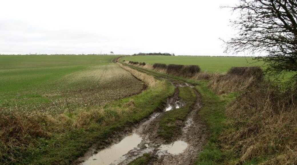 The Wolds Way north of Gare Gate, Sancton, East Riding of Yorkshire, England.