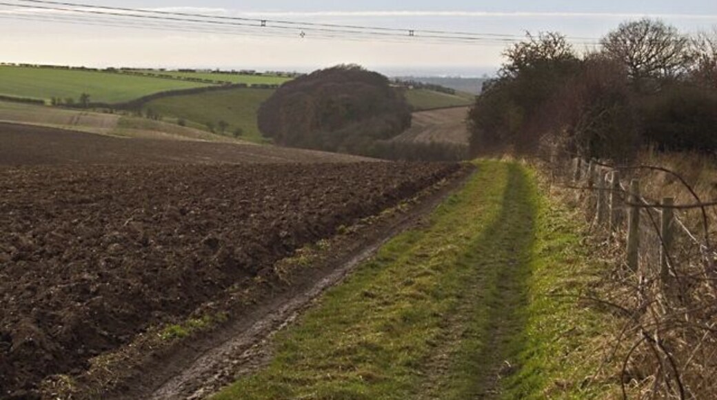 Footpath at Hessleskew Gare, east of Sancton, East Riding of Yorkshire, England. The footpath leading west from the Yorkshire Wolds Way to North Newbald.