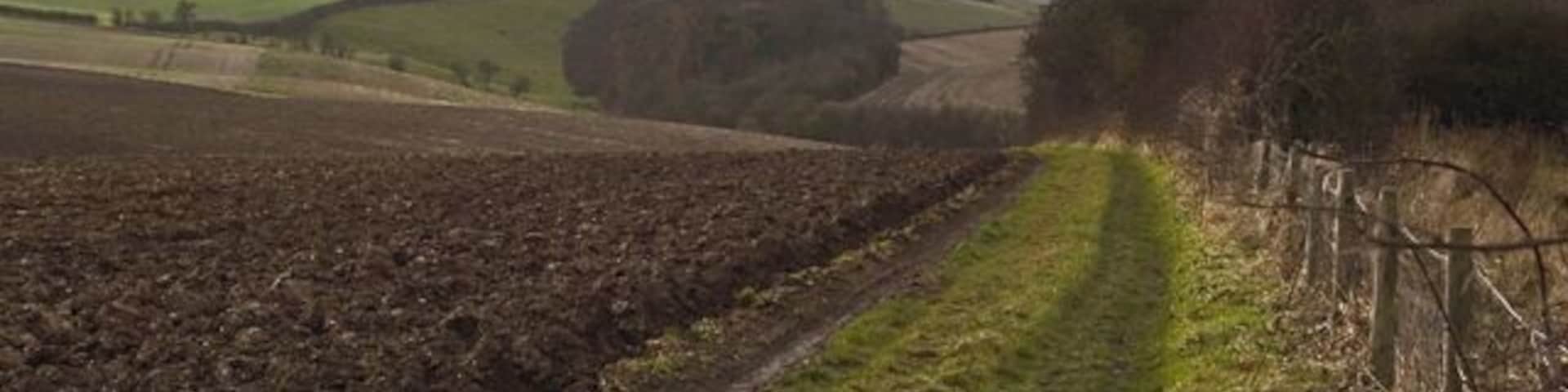 Footpath at Hessleskew Gare, east of Sancton, East Riding of Yorkshire, England. The footpath leading west from the Yorkshire Wolds Way to North Newbald.