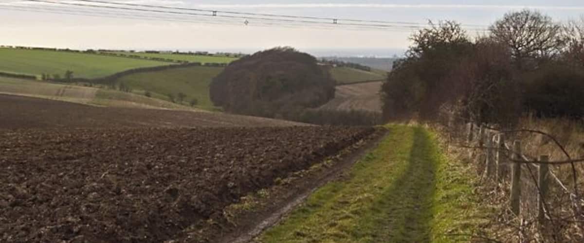 A rural landscape with a dirt path, fields, and a distant hill.