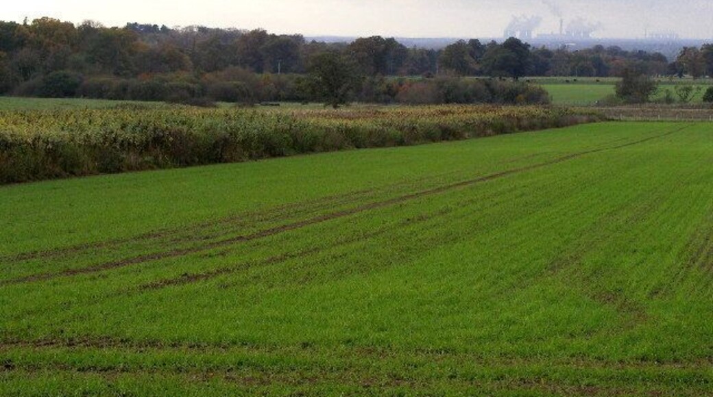 Farmland View, north of Sancton, East Riding of Yorkshire, England. Looking in a SWW direction from the Sancton to Market Weighton road towards the Vale of York from MR: SE89673997. In the distance can be seen the massive Drax coal-fired power station with Eggborough one beyond that.