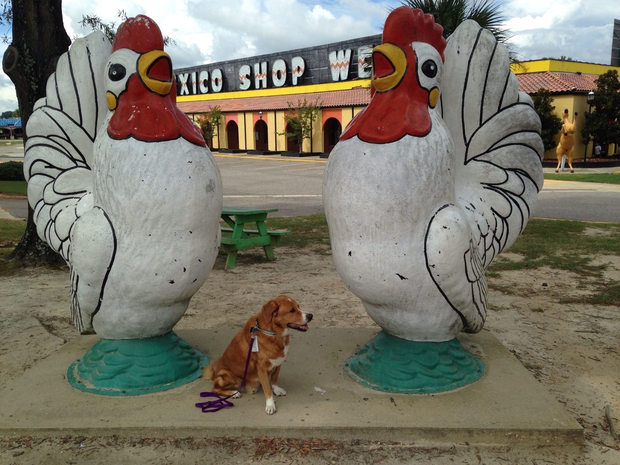 Pedro says they are World Famous stop at South Carolina border in the Town of Dillion.