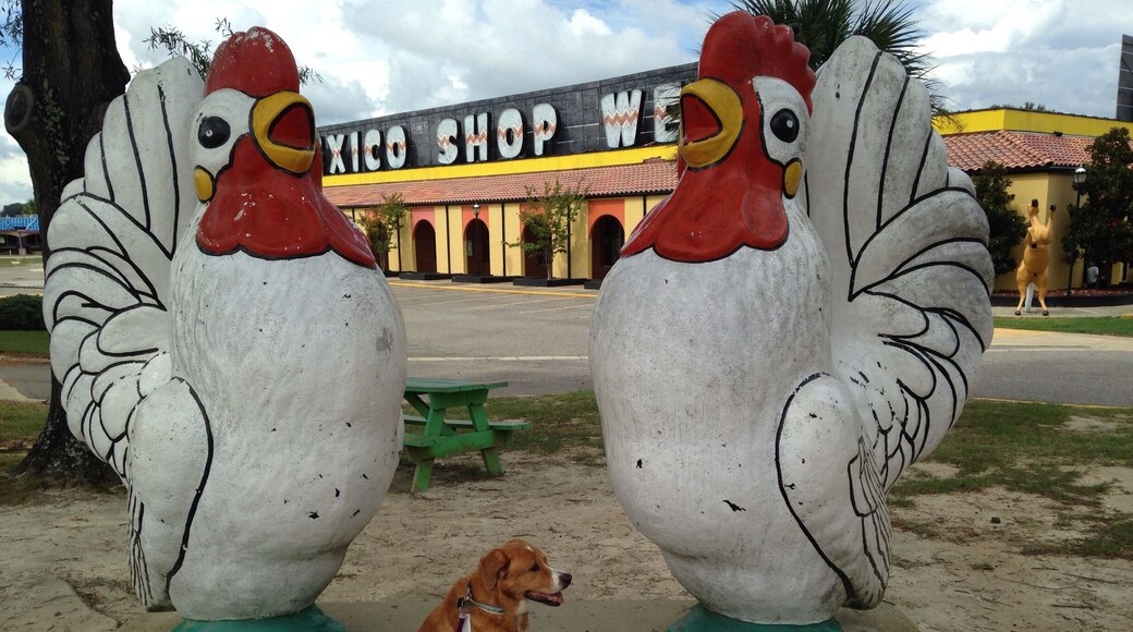 Pedro says they are World Famous stop at South Carolina border in the Town of Dillion.