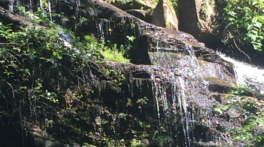 Short hike but beautiful waterfalls