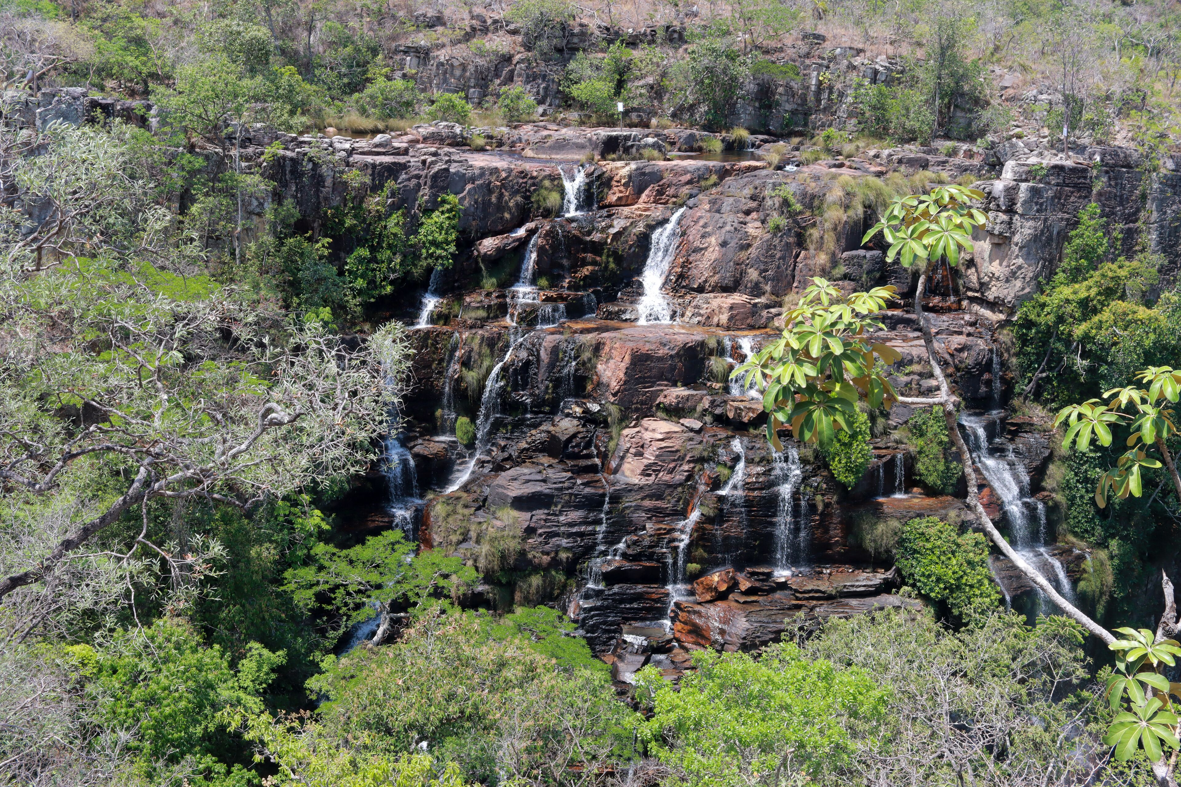 몬치 알레그리 지 고이아스