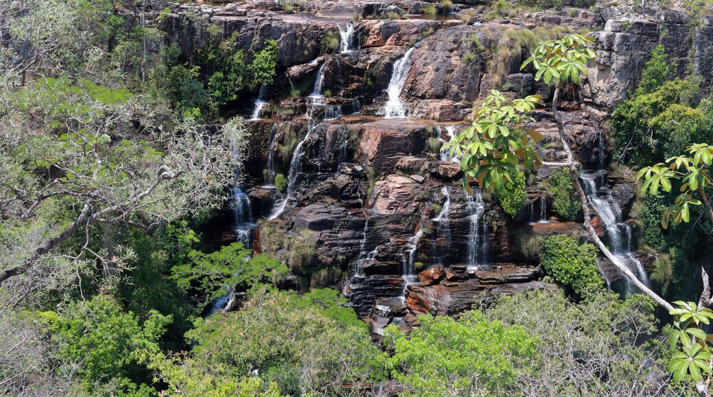 ๋ชฌ์น ์๋ ๊ทธ๋ฆฌ ์ง ๊ณ ์ด์์ค