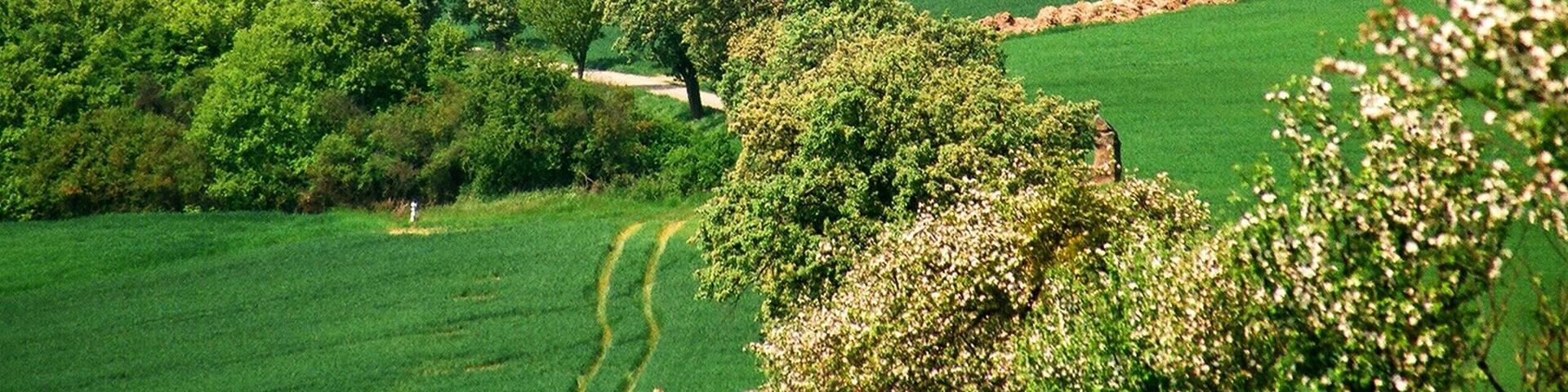 Launstroff, view to the village