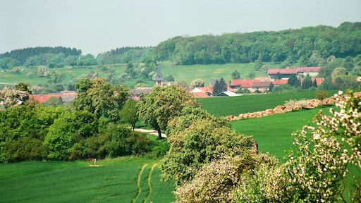 Launstroff, view to the village