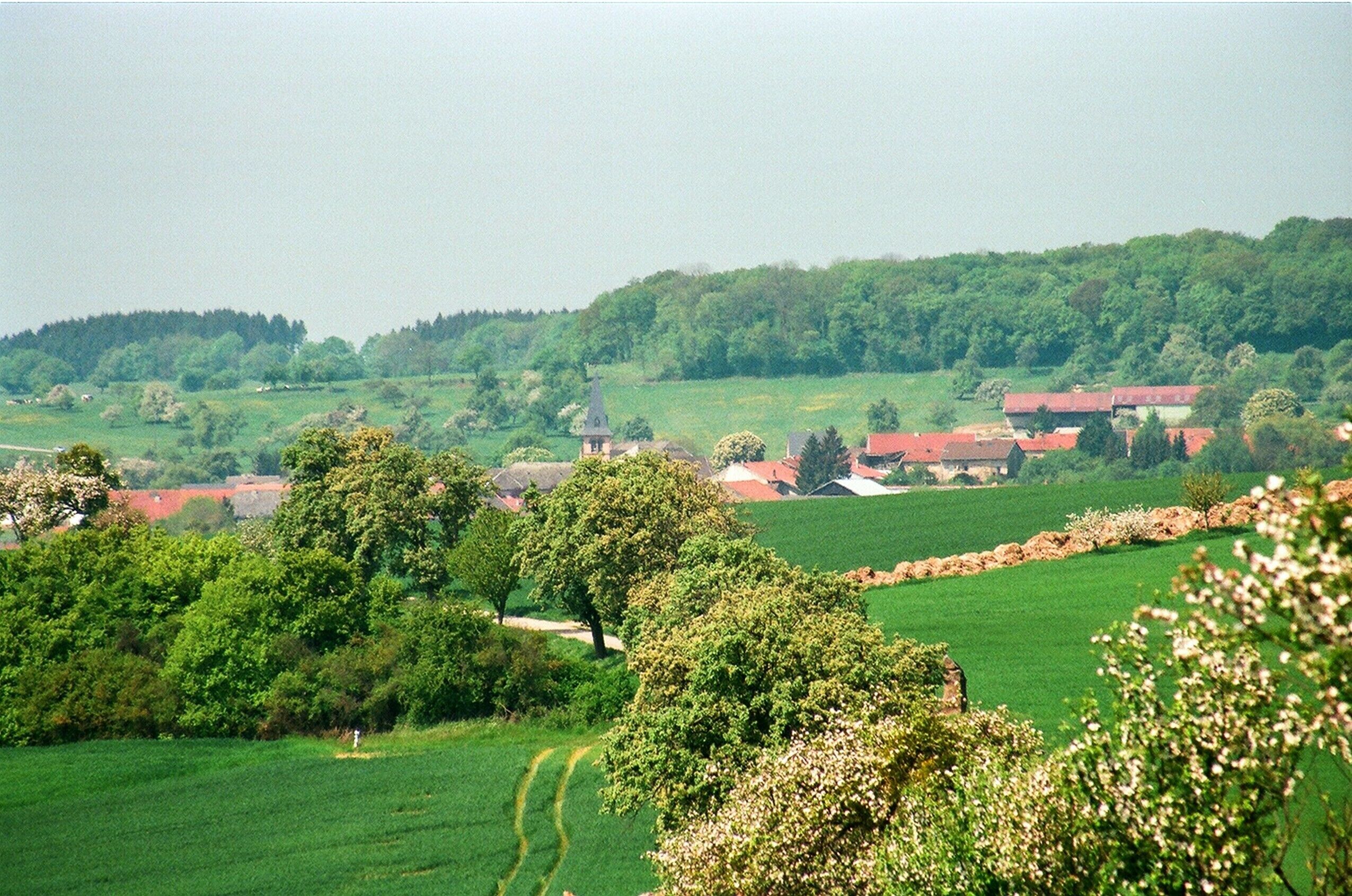 A rural landscape with rolling green fields, scattered trees, and traditional red-roofed houses.