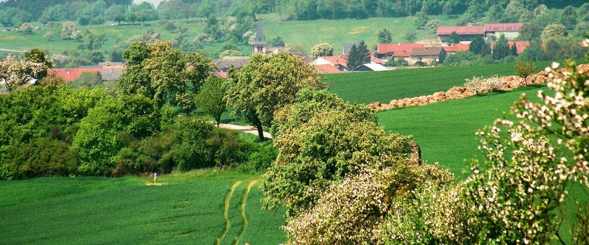 A rural landscape with rolling green fields, scattered trees, and traditional red-roofed houses.