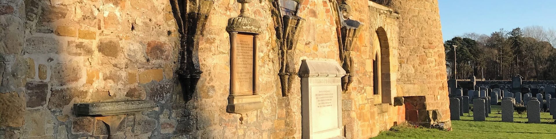 Beautiful in sunlight