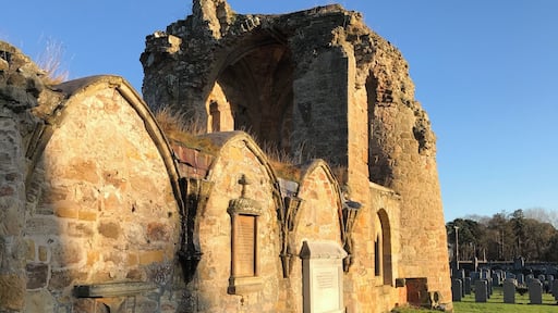 Beautiful in sunlight