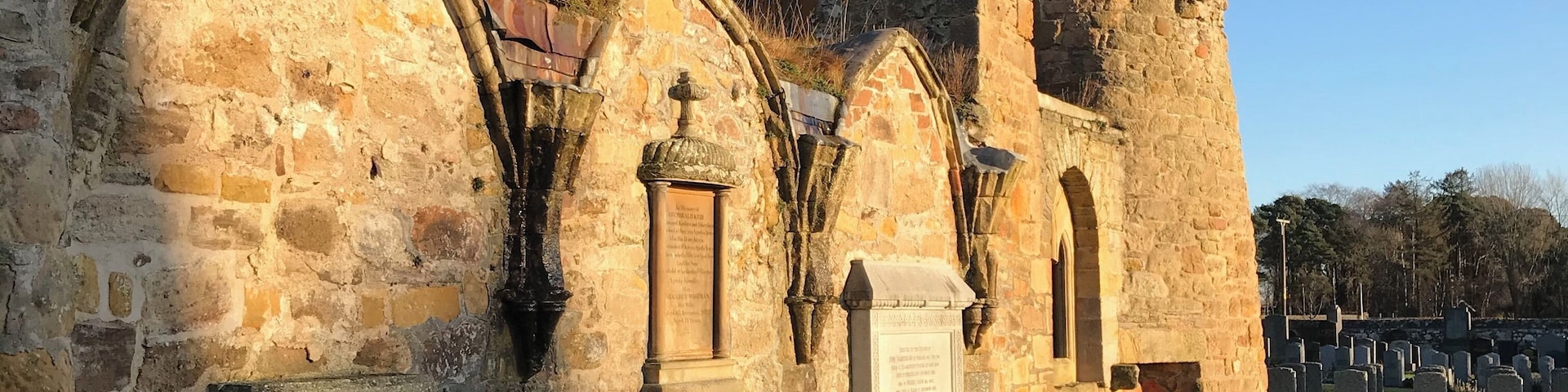 Beautiful in sunlight