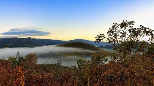 Early morning fog over valleys and mountains, Serra da Canastra, Minas Gerais state, Brazil