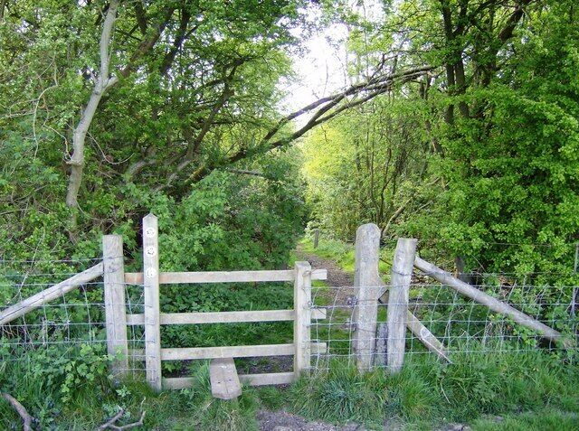 Into the woods above the tunnel The former railway line running through the square is in a tunnel at this point. The footpath runs over the top of the tunnel, leaving grazing land here to enter woodland above the tunnel, with a ventilation shaft sometimes visible through the trees (but not today).