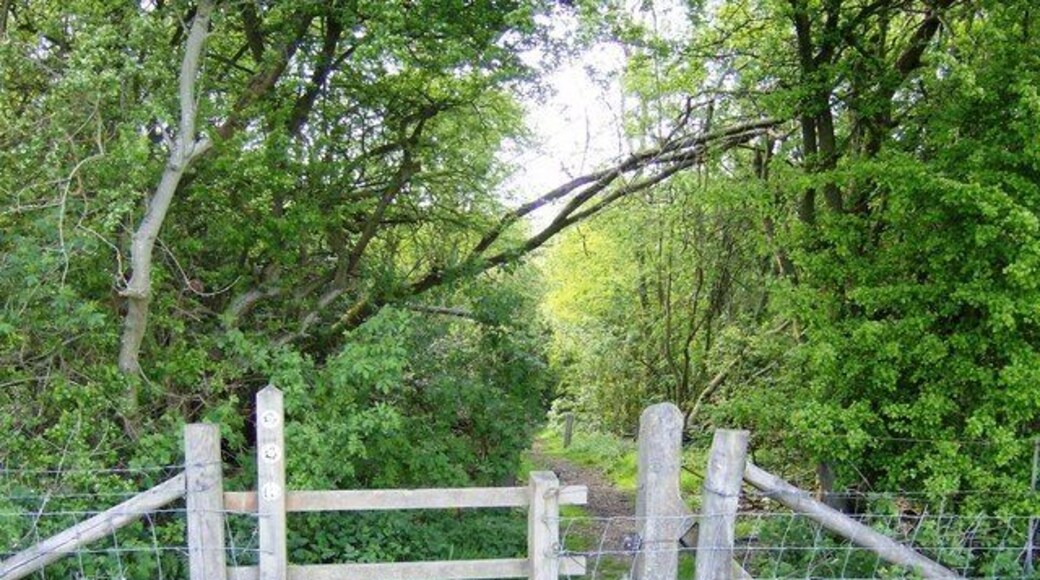 Into the woods above the tunnel The former railway line running through the square is in a tunnel at this point. The footpath runs over the top of the tunnel, leaving grazing land here to enter woodland above the tunnel, with a ventilation shaft sometimes visible through the trees (but not today).