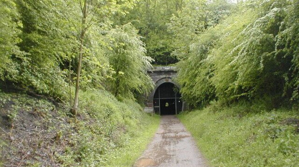 Gt Oxendon Tunnel on National Cycleway No 6 It's far safer to get off your bike & walk through this tunnel.