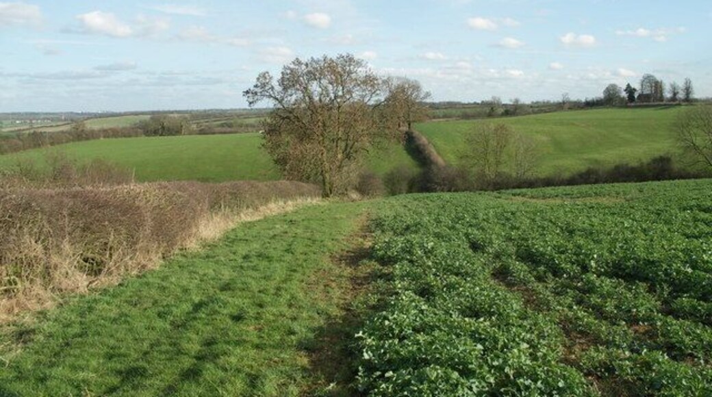 Site of Abandoned Village. The village of Little Oxendon was once located in this area. The preserved ridge and furrows can be seen in the fields across the valley.