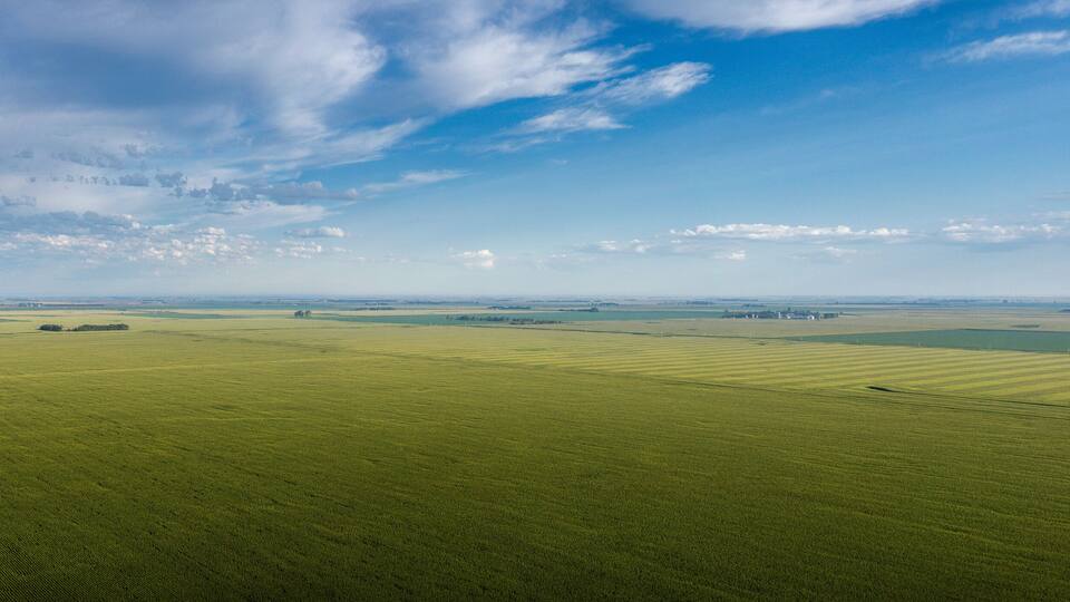 A vast green field with distant buildings and a clear blue sky.
