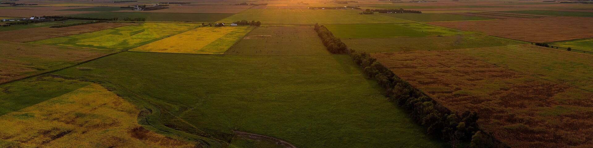 A rural landscape with fields and a stone wall.