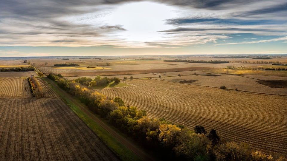 An aerial view of a vast agricultural landscape with fields, trees, and a cloudy sky.