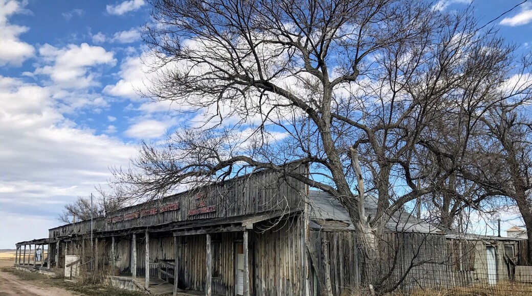 An honest to god #tumbleweed blew down the street in this ghost town. #abandoned #details