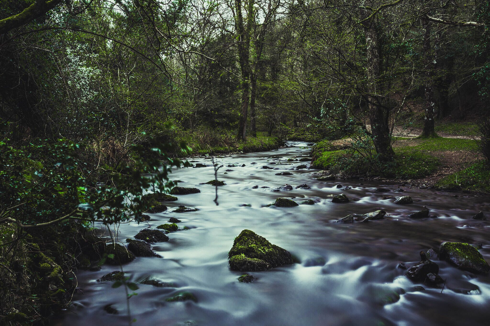 500px provided description: Stream at Horner Wood [#trees ,#sky ,#lake ,#forest ,#sea ,#beauty ,#sunset ,#water ,#reflection ,#river ,#beach ,#travel ,#blue ,#sun ,#light ,#clouds ,#tree ,#summer ,#beautiful ,#green ,#pond ,#waterfall ,#woods ,#stream ,#moss ,#scenery ,#idyllic ,#mirror lake ,#flowing water]