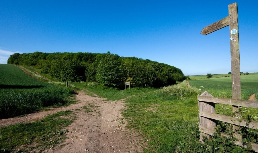 Nutwood, Raywell