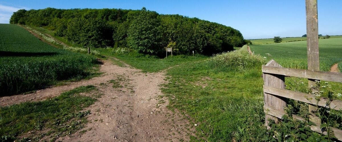 A dirt path leading to a public bridleway, surrounded by lush green fields and a dense forest.