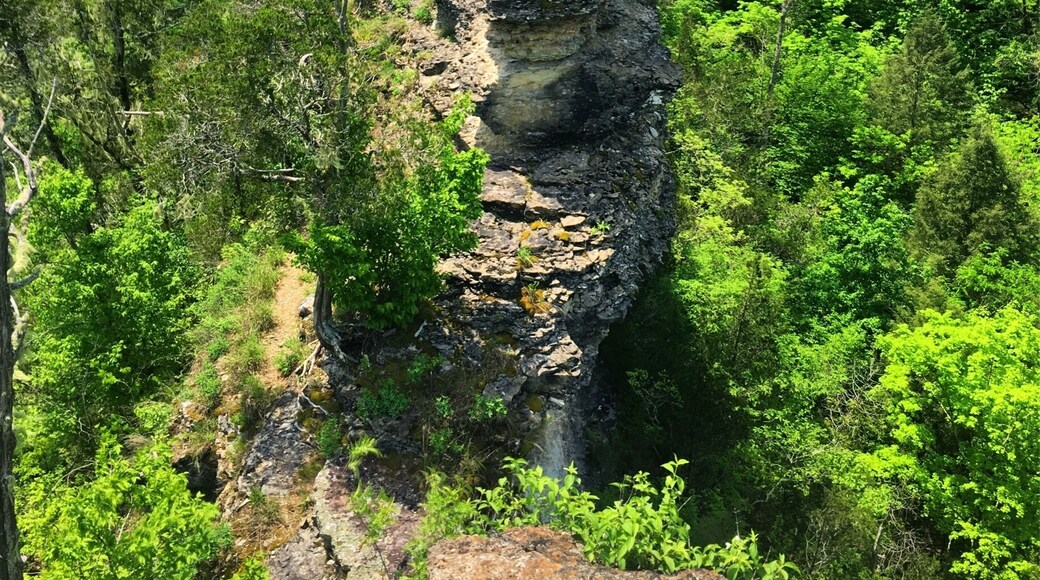 View from the top of the Window Cliffs.