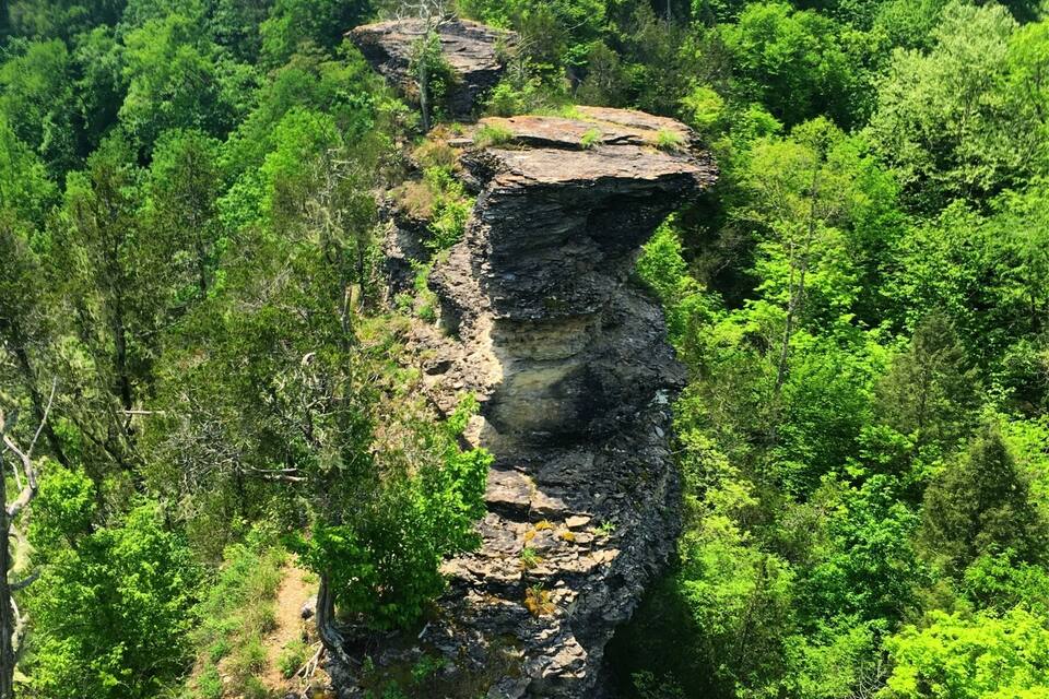 Une falaise rocheuse, avec un sentier étroit qui y mène, entourée d’une forêt verdoyante et dense.