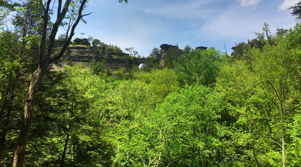 Newly opened trail in Middle Tennessee. The area was shutdown to the public in the mid 90''s. There is a great 5.5 mile trail( 2.75 miles one way. Nine creek crossings along the way. It was great to see it again after 25 years.