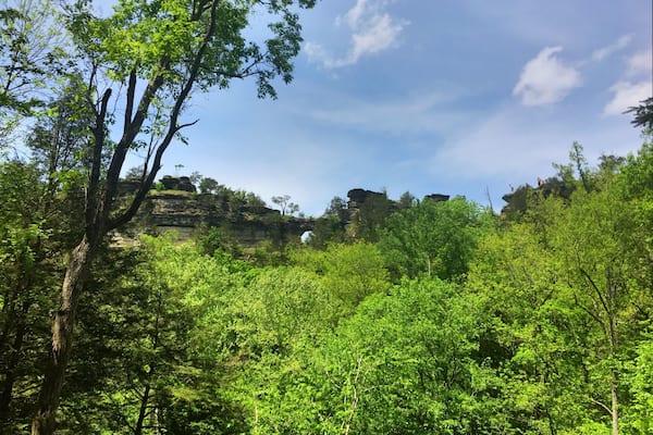 A forested landscape with rocky cliffs and a clear sky.