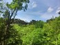 Eine bewaldete Landschaft mit felsigen Klippen und wolkenlosem Himmel.