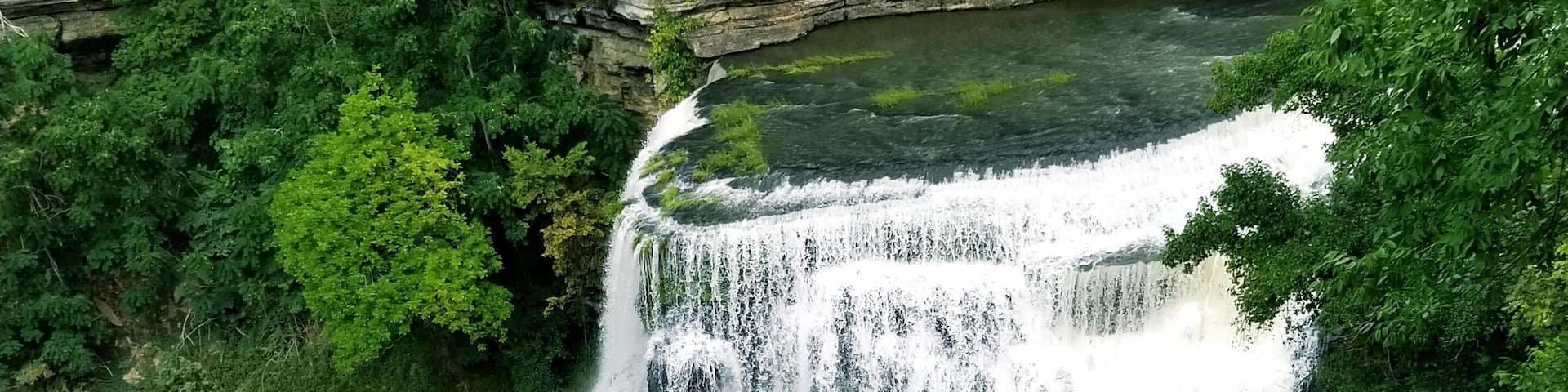 What a beauty ~
Pics cannot capture how stunning it truly is...