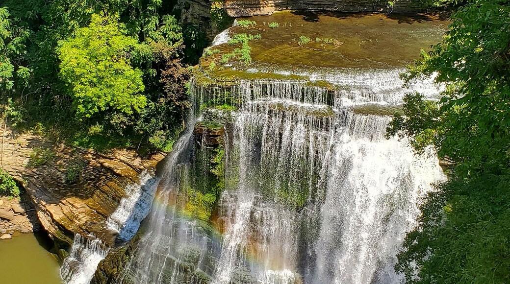 Beautiful waterfall easy mile to the falls