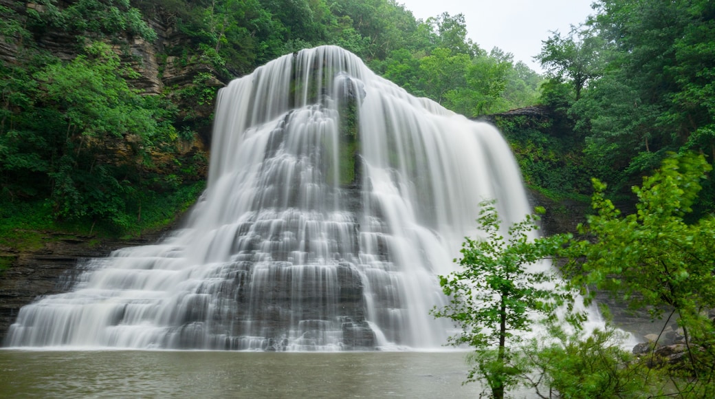 Burgess Falls on Foggy Tennessee Morning