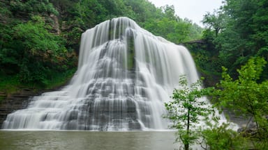 Burgess Falls on Foggy Tennessee Morning