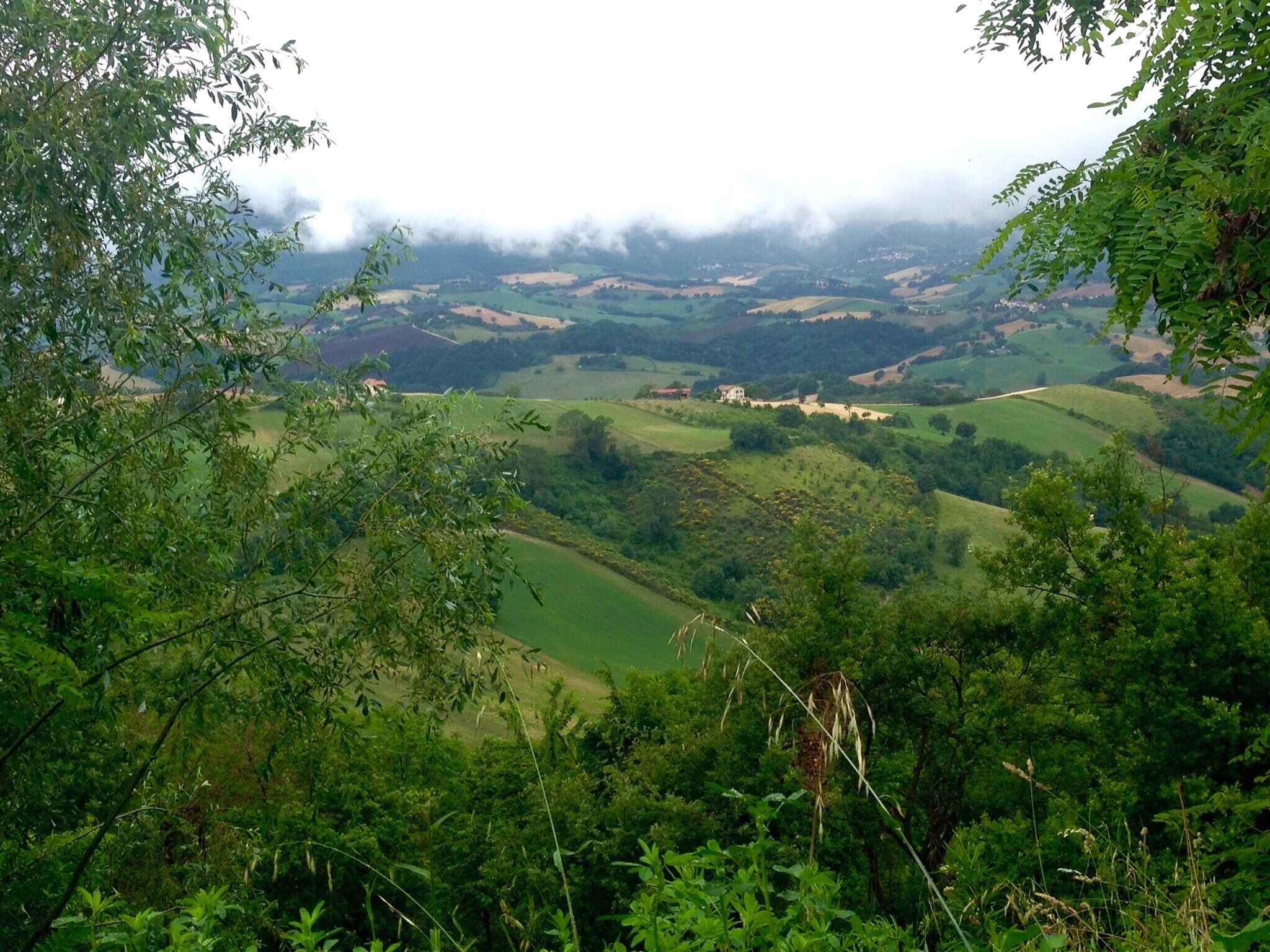 Colorful Abruzzo

http://sleland.weebly.com/blogs/a-is-for-abruzzo