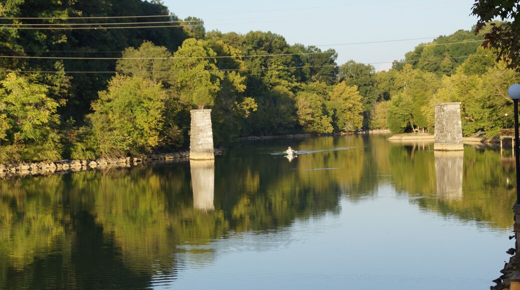 View of Holston River at Bluff City