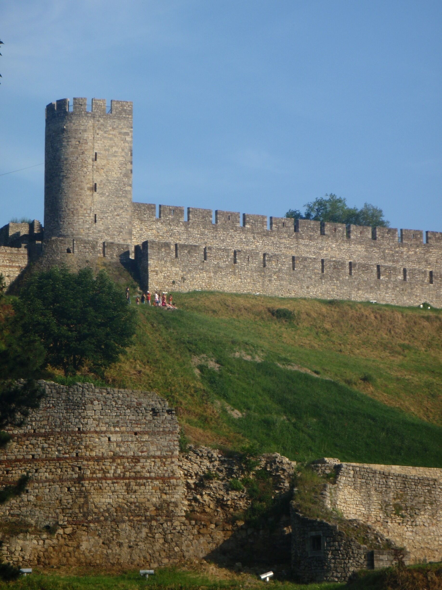A medieval stone castle with a tall tower, surrounded by a fortified wall and grassy hillocks.