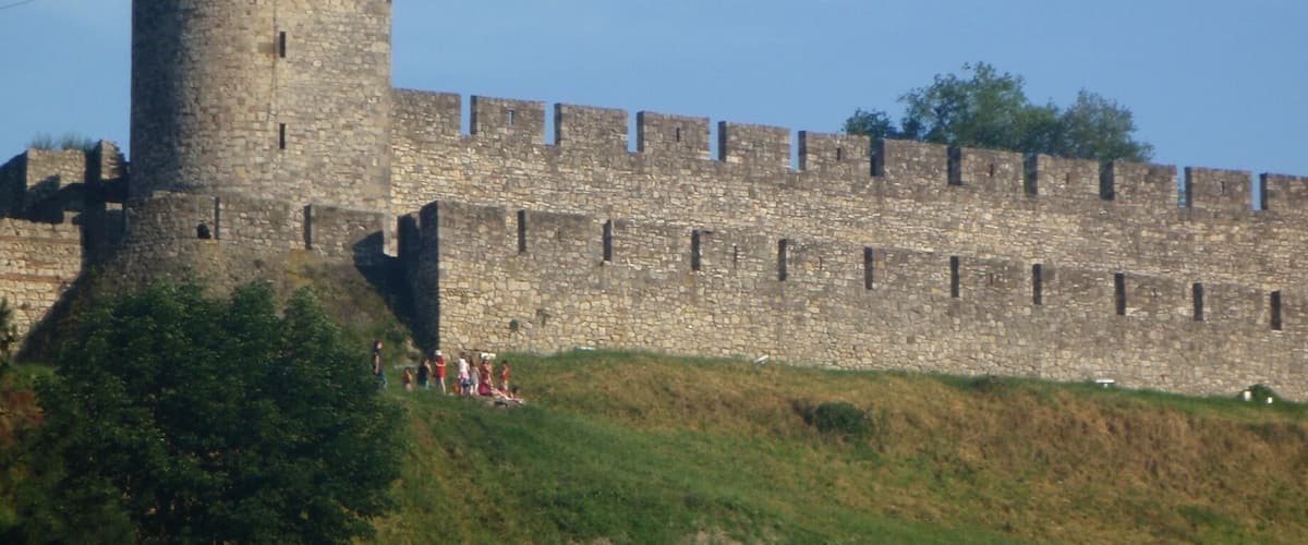 A medieval stone castle with a tall tower, surrounded by a fortified wall and grassy hillocks.