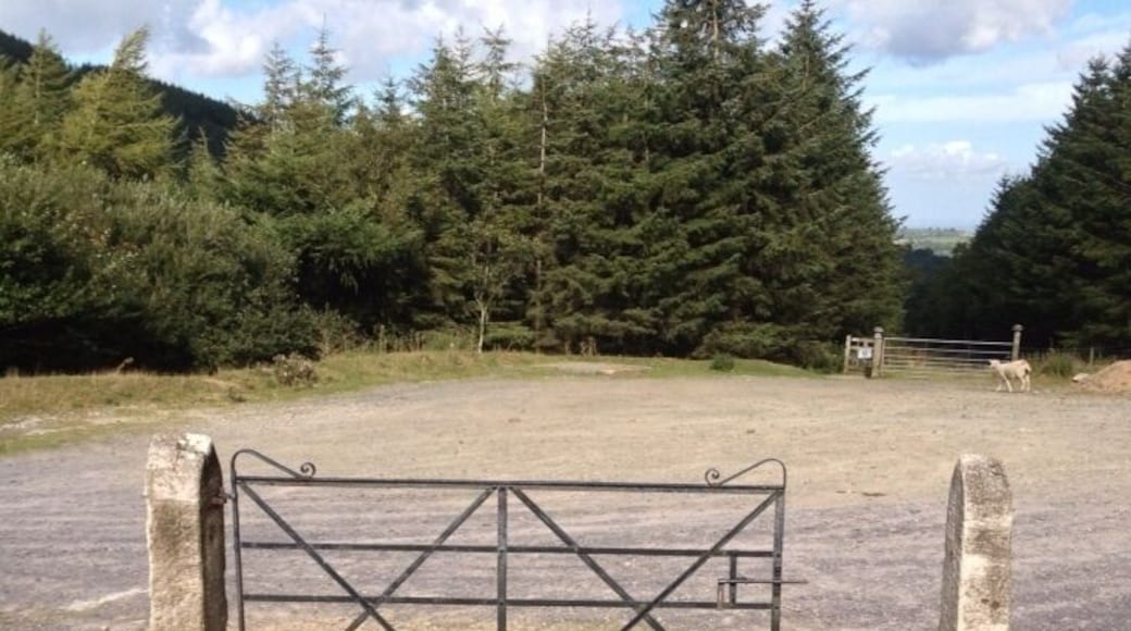 Gate near Moel Famau. I was amused by how pointless it was. No fence either side and too small for the posts. No wonder the sheep could escape!